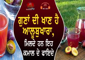benefits of plum fruit