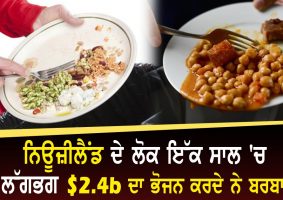 new zealanders discard food