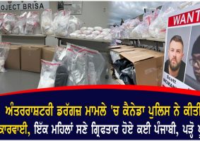 61 million worth of drugs seized