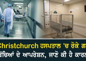 Christchurch Hospital halts