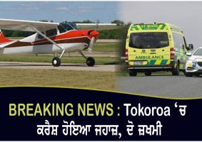 small plane crashes in tokoroa