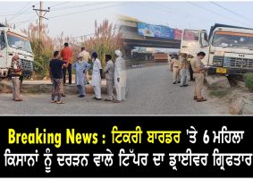 the driver of a tipper