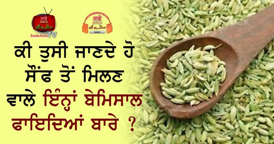 health benefits of fennel