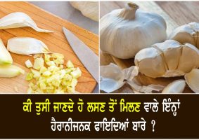 health benefits of garlic