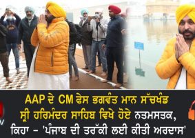 aap cm face bhagwant mann