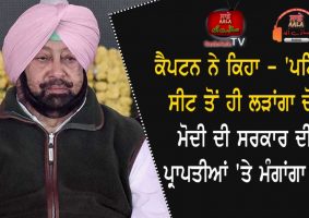 captain amarinder singh to contest