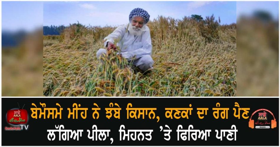 unseasonal rains hit farmers