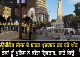 eight arrested at parliament protest