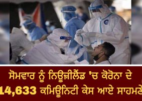 14633 new covid-19 community cases