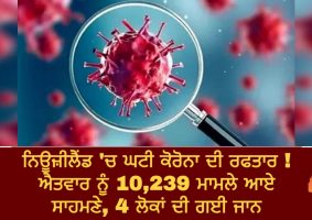 10239 covid-19 cases on sunday