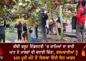 the kiwi fruit industry is facing