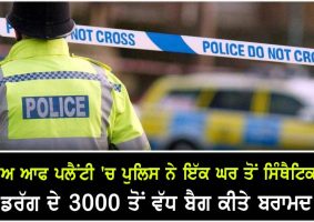 more than 3000 bags of