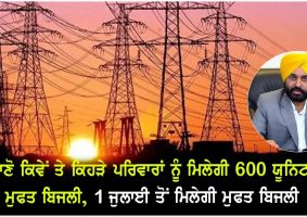 punjab announces 300 units