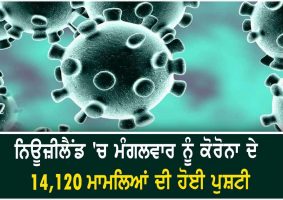 14120 new covid-19 cases