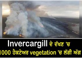 1000 hectares of vegetation