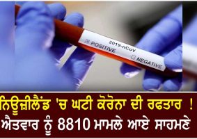 8810 covid cases on sunday