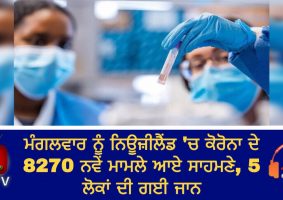 8270 new covid cases on tuesday