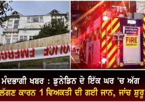 one person dead after dunedin house fire