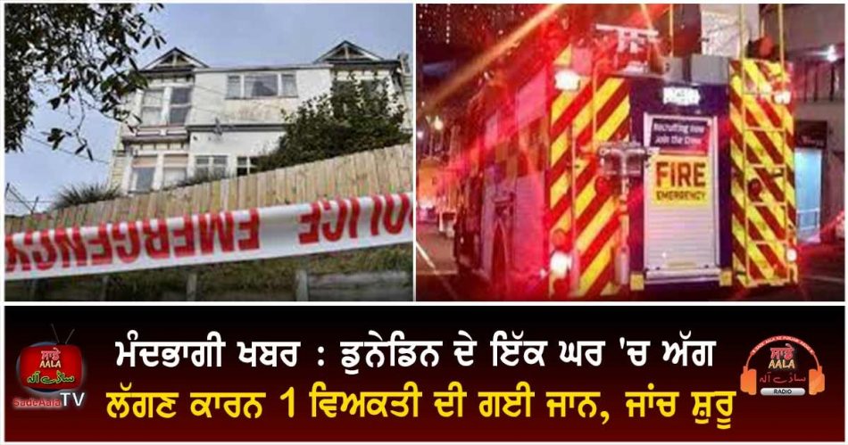 one person dead after dunedin house fire
