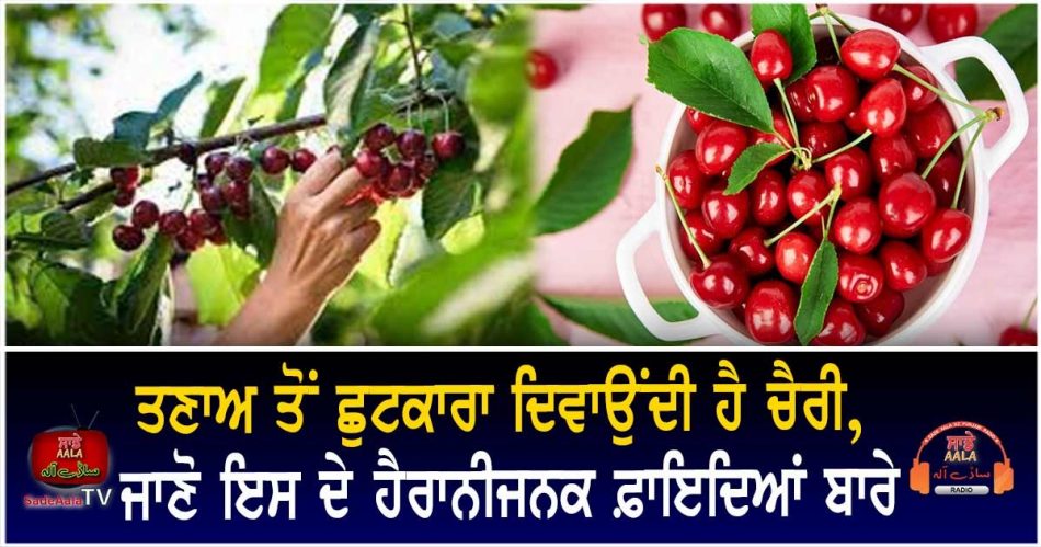 health benefits of cherries