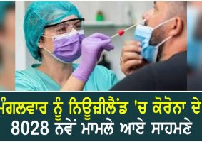 8028 covid 19 cases on tuesday