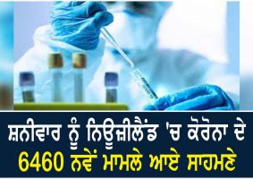 6460 covid-19 cases on saturday