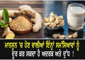 ginger milk benefits during monsoon