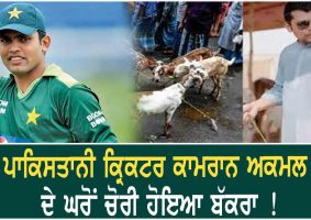 kamran akmal sacrificial goat stolen