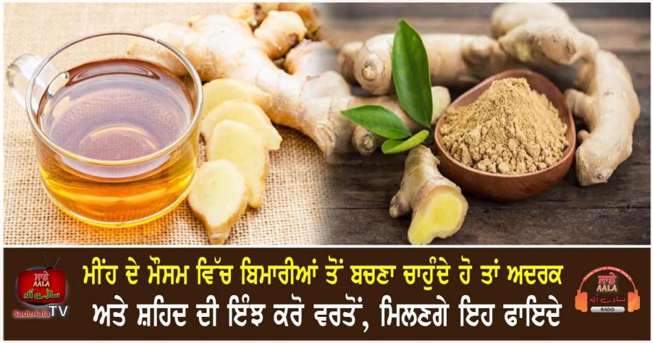 dry ginger powder with honey benefits