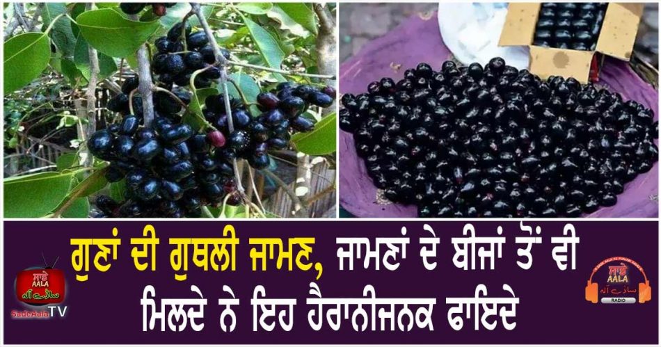 dont throw back berries seeds
