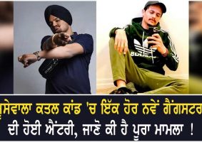 sidhu moose wala murder case