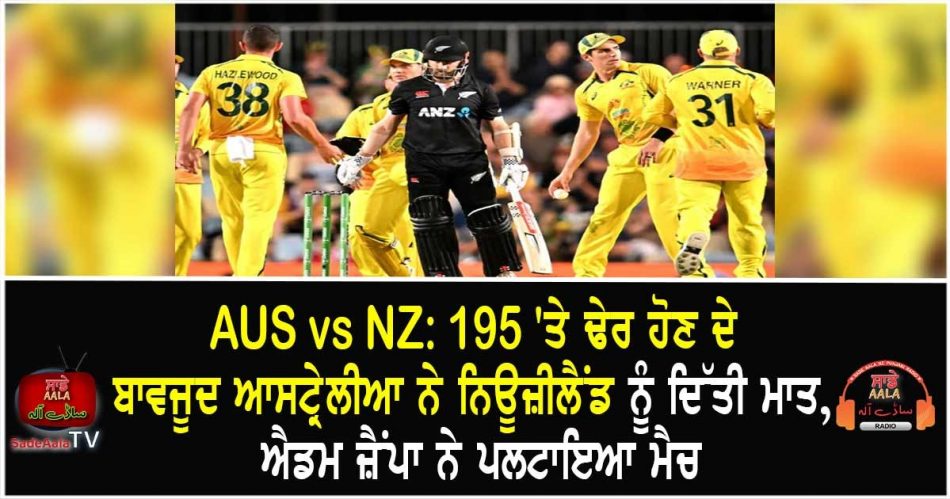 australia beat new zealand by 113 runs
