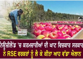govt announces 3000 additional rse workers