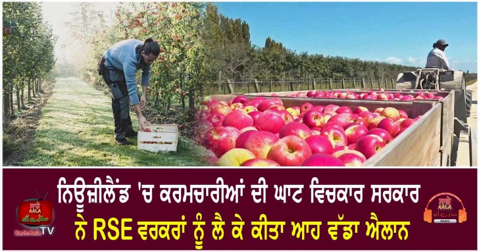 govt announces 3000 additional rse workers