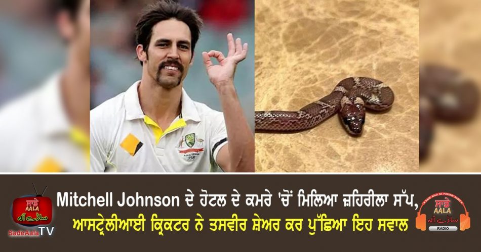 mitchell johnson snake in hotel room