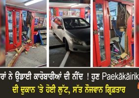 seven youths arrested after