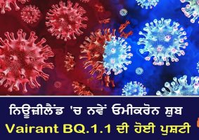 new omicron subvariant BQ.1.1 detected