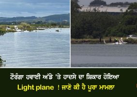 light plane goes off runway