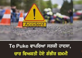 four seriously hurt in te puke crash