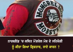 alleged mongrel mob ally arrested