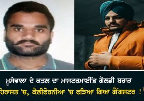 goldy brar in custody