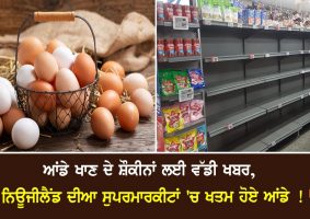 egg shortage supermarket shelves