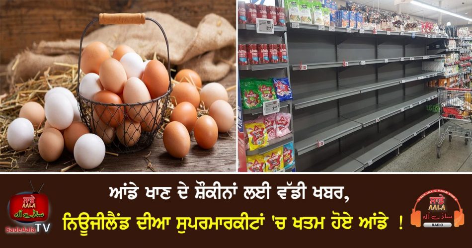 egg shortage supermarket shelves