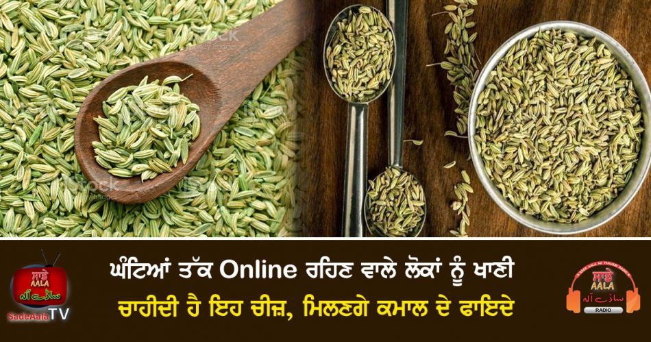 why should eat fennel seeds