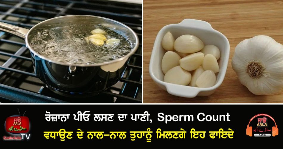 health benefits of garlic water