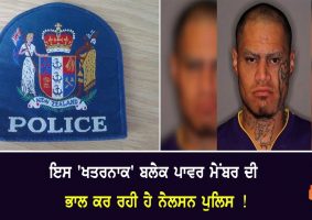 nelson police searching for