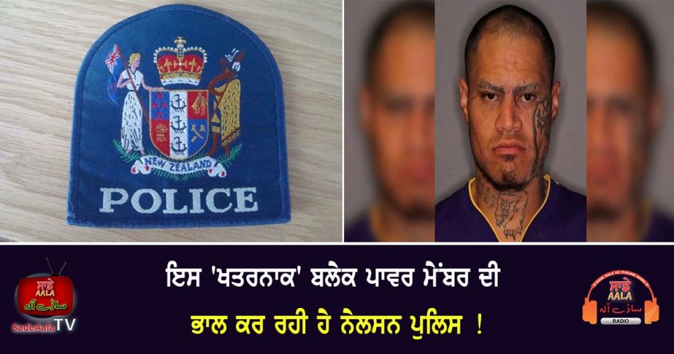 nelson police searching for
