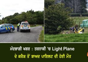 pilot of light plane dies