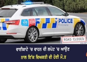 person fatally struck by vehicle