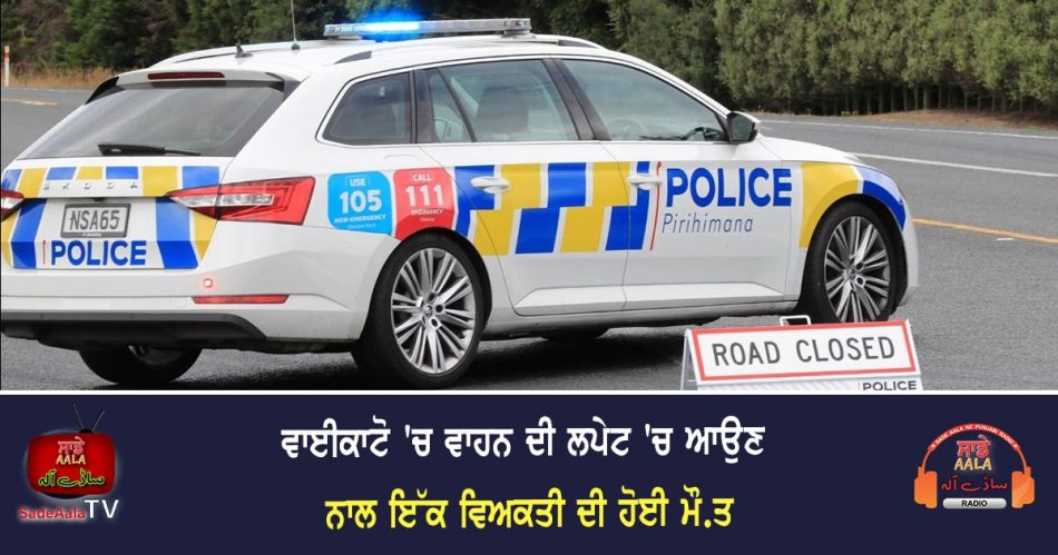 person fatally struck by vehicle